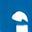 LinkedIn Icon